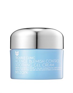 Крем для лица Acence Blemish Control Soothing Gel Cream Mizon