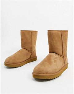 Классические короткие сапоги коричневого цвета Ugg