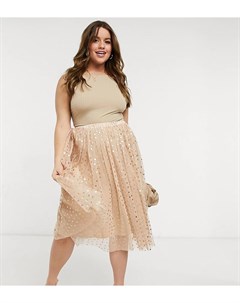 Эксклюзивная юбка миди из тюля с акцентами в виде металлических сердец цвета золотая роза Lace Beads Lace & beads plus