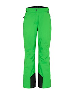 Брюки Горнолыжные Pants Resi 2 Classic Green Зелёный Maier