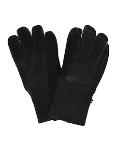 Перчатки Горные 2017 18 M Denali Etip Glove Tnf Black The north face
