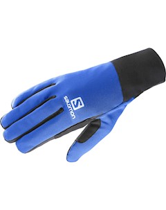 Перчатки Горные 2017 18 Equipe Glove M Surf Web Salomon