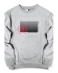 Свитшот SS_GRC Серый XL Damn apparel