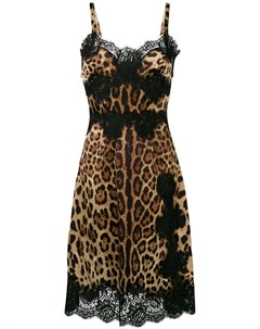 Расклешенное платье миди с леопардовым принтом Dolce&gabbana