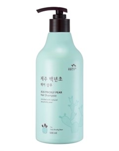 Шампунь Jeju Prickly Pear Hair Shampoo с Кактусом 500 мл Flor de man