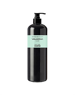 Шампунь Ayurvedic Scalp Solution Black Cumin Shampoo для Волос Аюрведа 480 мл Valmona