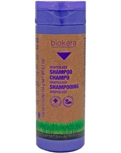 Шампунь ChampuGrapeology с Виноградной Косточкой 100 мл Salerm cosmetics