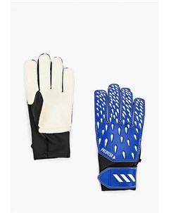 Перчатки вратарские Adidas