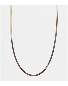 Золотистое ожерелье цепочка елочкой размером 4 мм ASOS DESIGN Curve Asos curve