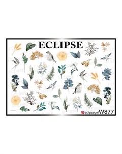 Слайдер дизайн для ногтей W 877 Eclipse