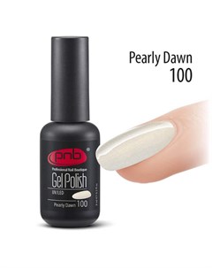 100 гель лак для ногтей Gel nail polish 8 мл Pnb