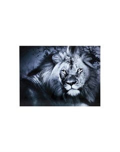 Картина Lion King 120х160 см Kare
