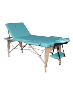 Массажный стол Nirvana Relax Pro TS3021_Gr зеленый Dfc