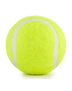Мяч для большого тенниса TB GA03 шт Start up
