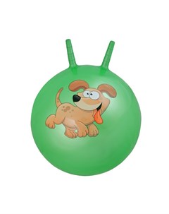 Гимнастический мяч 55 см BF CHB02 зеленый Bodyform