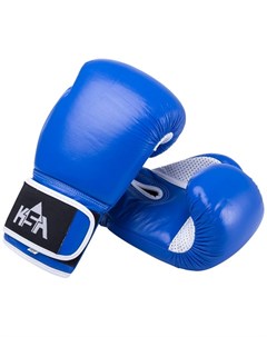 Перчатки боксерские Wolf Blue кожа 12 oz Ksa