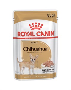 Корм для собак Chihuahua Adult паштет 85 г Royal canin