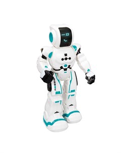 Робот Напарник на радиоуправлении Xtrem bots