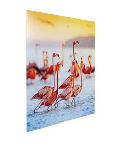 Картина Flamingo 80х80х0 Kare