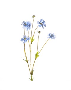 Искусственные цветы Маргаритка 66см цвет голубой Silk-ka