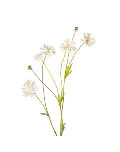 Искусственные цветы Маргаритка 66см цвет кремовый Silk-ka