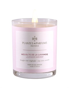 Свеча ароматическая Лавандовые поля Plantes et parfums provence
