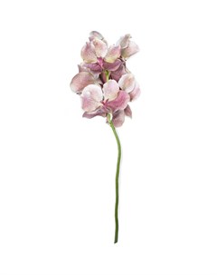 Искусственные цветы Орхидея Ванда 66см Silk-ka