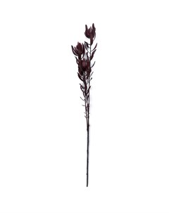 Искусственные цветы Ветка суккулента 107см Silk-ka