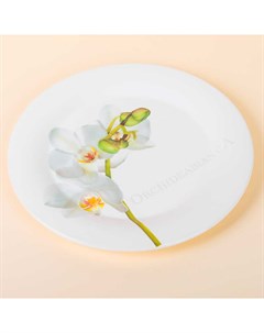 Тарелка обеденная Orchideabianca 29см Ceramiche viva