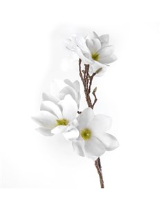 Искусственные цветы Магнолия 84см цвет кремовый Silk-ka