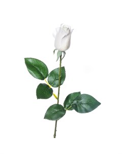 Искусственные цветы Роза 55см цвет белый Silk-ka