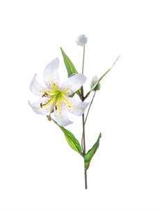 Искусственные цветы Лилия 72см цвет кремовый Silk-ka