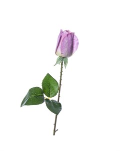 Искусственные цветы Роза 55см цвет сиреневый Silk-ka