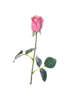 Искусственные цветы Роза 55см цвет розовый Silk-ka
