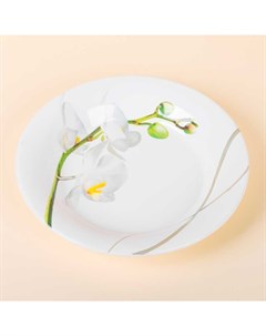 Тарелка суповая Orchideabianca 24см Ceramiche viva