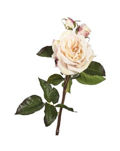 Цветок искусственный Роза 55см светло розовый Silk-ka