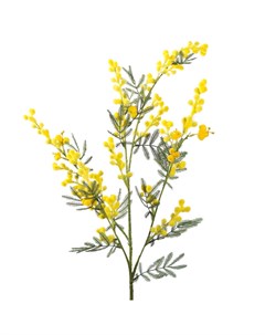 Цветок искусственный ветка Мимоза 75см желтый Silk-ka