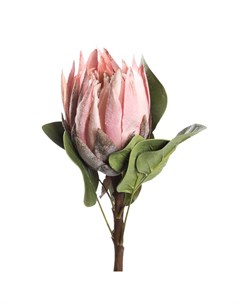 Цветок искусственный Протея 60см розовый Silk-ka