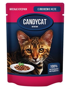 Для взрослых кошек с лососем в желе 85 гр Candycat