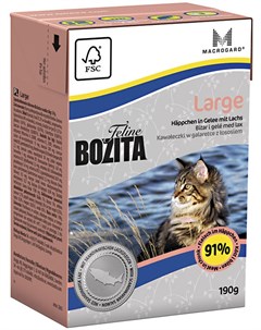 Feline Function Large Salmon для взрослых кошек крупных пород с лососем в желе 190 гр Bozita
