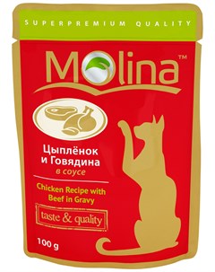Для взрослых кошек с цыпленком и говядиной в соусе 100 гр Molina