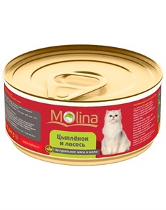Для взрослых кошек с цыпленком и лососем в желе 80 гр Molina
