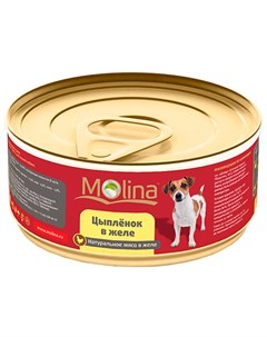 Для взрослых собак с цыпленком в желе 85 гр Molina