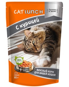 Для взрослых кошек с курицей в желе 85 гр Cat lunch