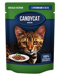 Для взрослых кошек с кроликом в желе 85 гр Candycat