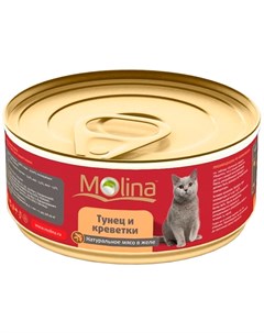 Для взрослых кошек с тунцом и креветками в желе 80 гр х 12 шт Molina