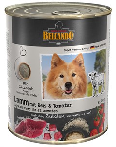 Lamm Mit Reis Tomaten для взрослых собак с ягненком рисом и томатами 800 гр Belcando