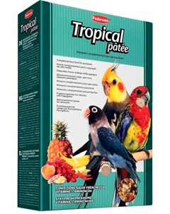 Tropical Patee корм для средних попугаев с фруктами 700 гр Padovan