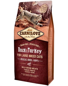 Carnilove Cat Adult Large Breed Duck Turkey беззерновой для взрослых кошек крупных пород с уткой и и Brit*
