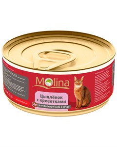 Для взрослых кошек с цыпленком и креветками в соусе 80 гр х 12 шт Molina